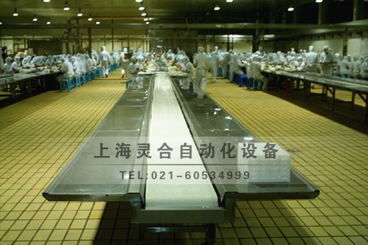 饺子生产输送皮带机